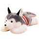 thumbnail image 3 of Juguete de Peluche de perro gigante Arco Iris Latino 120cm Husky Cojín para decoración del hogar, 3 of 5