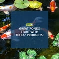 thumbnail image 2 of Tetra Pond 19080 Water Garden Pump Impeller, 2 of 3