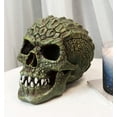 thumbnail image 1 of Gator Head Alligator Monster Cranium Skull With Hide Skin Look Decorative Statue, 1 of 6