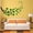 Green & Black, variant on VWAQ Tree Branch Leaves Wall Sticker - Living Room Decal Decor - 37 PCS