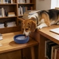 thumbnail image 4 of BotaniNest Lick Bowl For Bowl For Anxiety Slow Feeding & Training Strong Suction Base For Secure Attachment To Tiles & Glass Reduces Stress & Digestion, 4 of 7