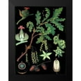 thumbnail image 2 of Vintage Apple Collection 11x14 Black Modern Framed Museum Art Print Titled - Oak, 2 of 5