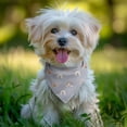 thumbnail image 2 of Dog Bandana 1 Pack,Blue Boho Bohemia Rainbow Hearts Pattern Bandanas for Dogs,Cat Bandana,Small/ Large Dog Bandana 2 Size,Dog Bandanas Girl Boy, 2 of 5