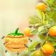 thumbnail image 5 of Trampa para Insectos de Calabaza de Halloween | Atrapamoscas Colgante de Plástico Abs | Protector de Alimentos Amarillo Anaranjado | Decoración para Interiores y Exteriores Reutilizable y Fácil de Li, 5 of 6