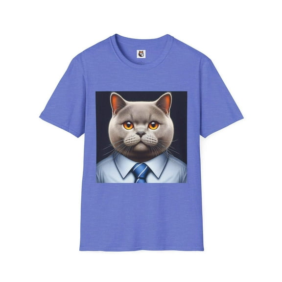 British Shorthair Domestic Cat