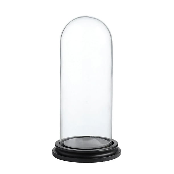 Decorative Clear Glass Dome/Tabletop Centerpiece Cloche Bell Jar