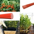 thumbnail image 6 of EcoStake Plant Stakes, Garden Stakes, ETA 5-Feet, 3/8-Inch Dia Tomato Stakes, Training Stakes , Orange Color 20 Pack, 6 of 7