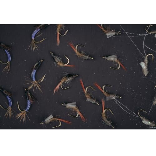 UMPQUA UPG Silicone Daytripper Lime Fly Box - Thin Lightweight Strong Impact-Resistant Fly Storage Case - Fly Fishing Tackle Organizer, Mini