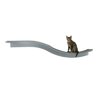 Image thumbnail_image