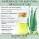 thumbnail image 2 of Aceite esencial MAJESTIC PURE Eucalyptus 120 ml (paquete de 2), 2 of 6