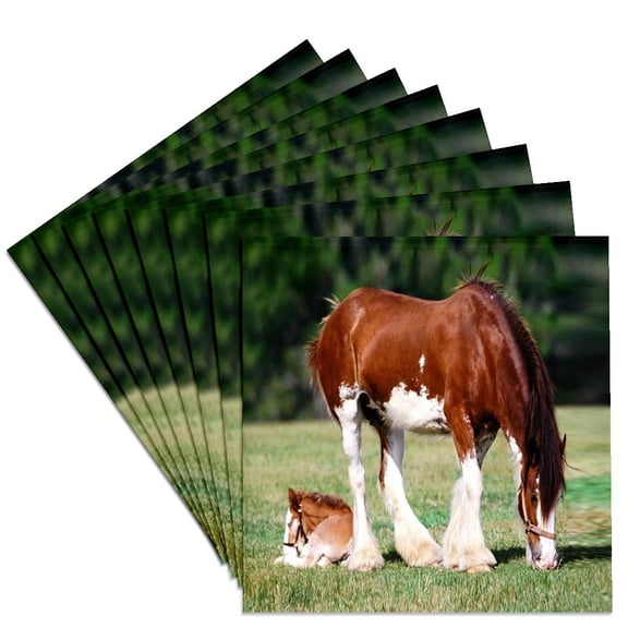 3drose, Clydesdale Mare and Foal Horses, Set of 8 Ceramic Tile Coasters