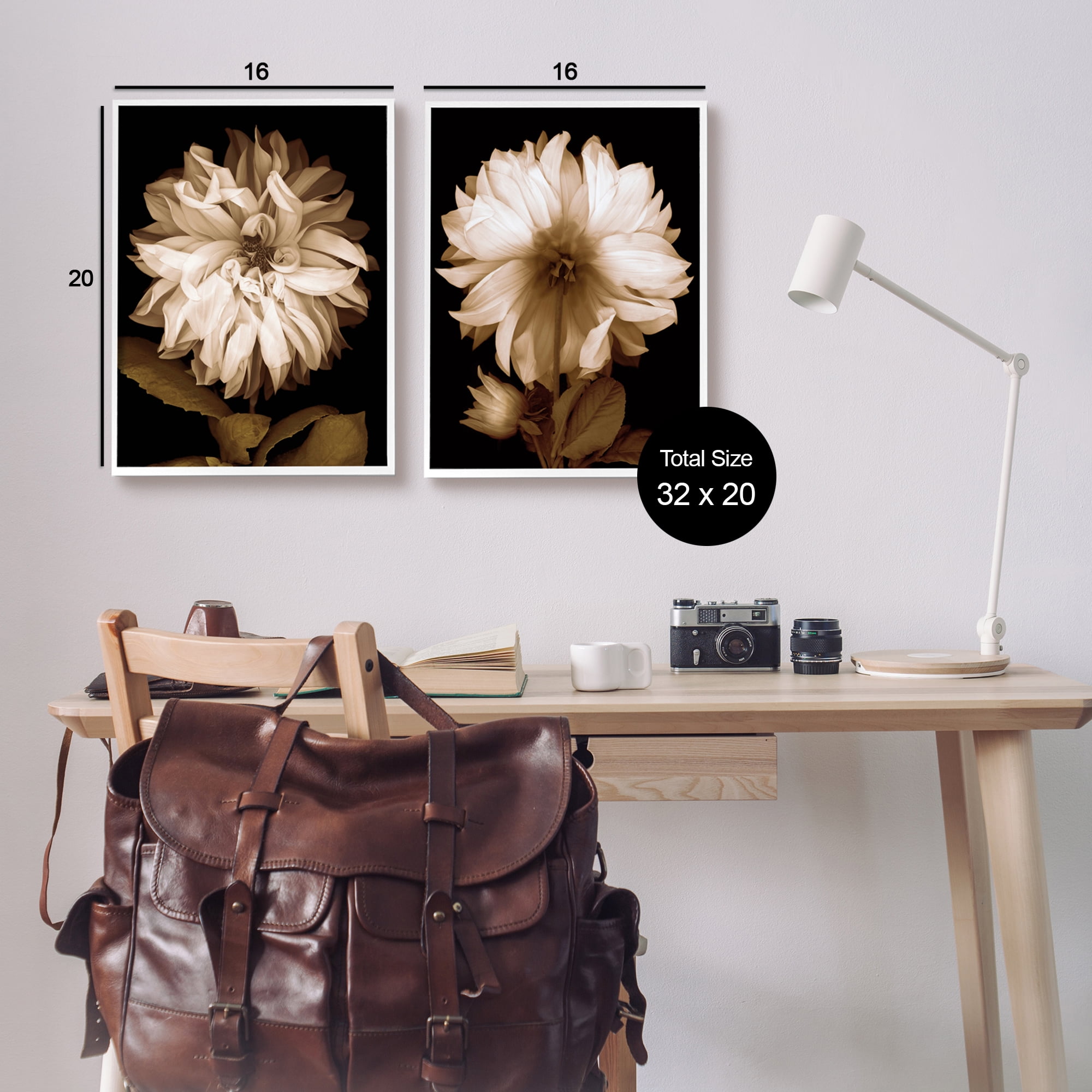 Stupell Sepia Chrysanthemum Flower Blooms Botanical & Floral Photography White Framed Art Print Wall Art, Set of 2