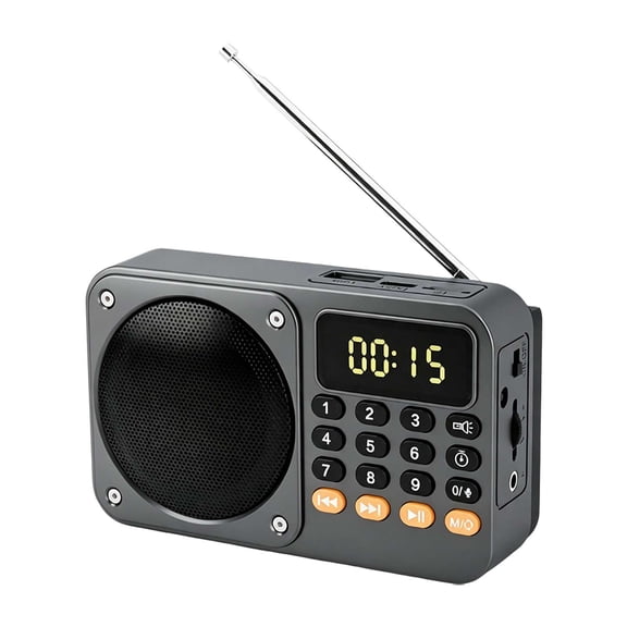 Portable Radio with Bluetooth Speaker, TF Card USB MP3 Player and Recording Function Flashlight for Elderly Home Outdoor, Black