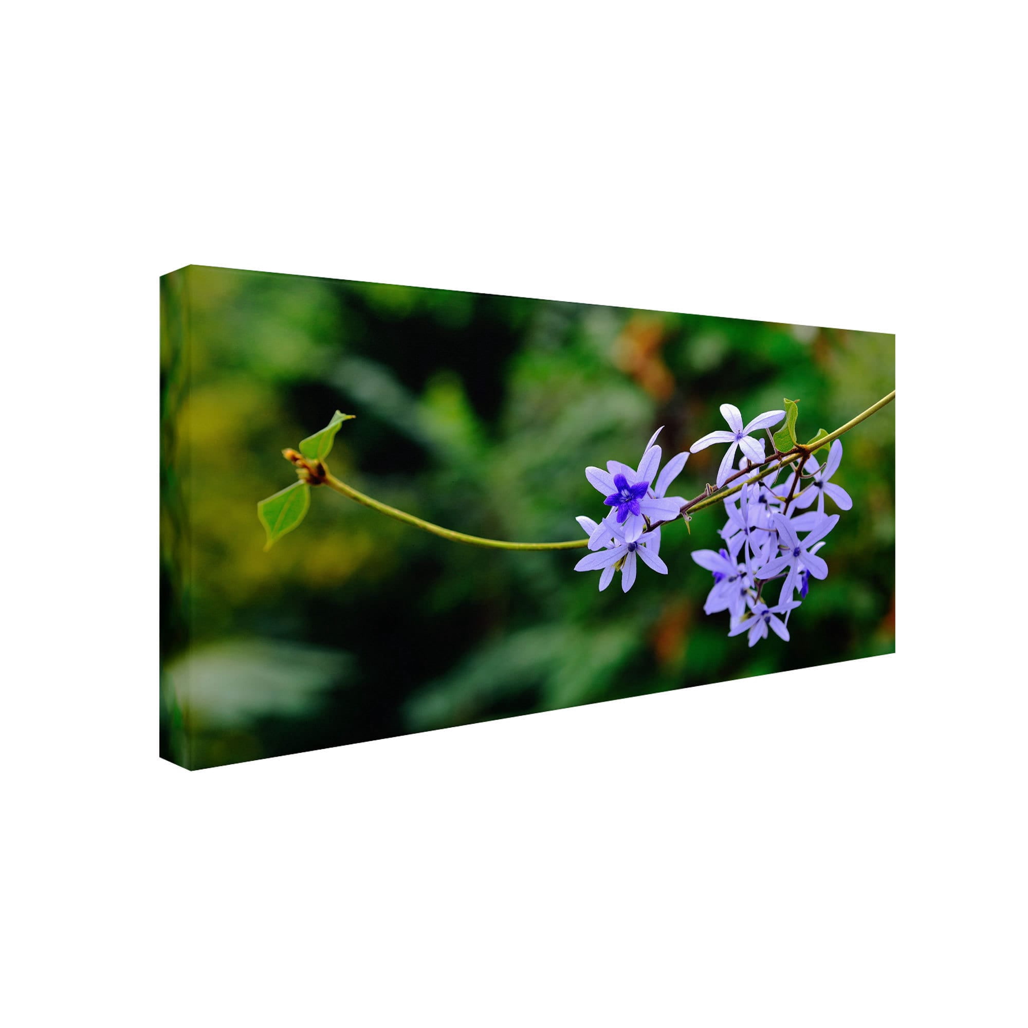 Trademark Fine Art "Tropical Blue" Canvas Art by Kurt Shaffer