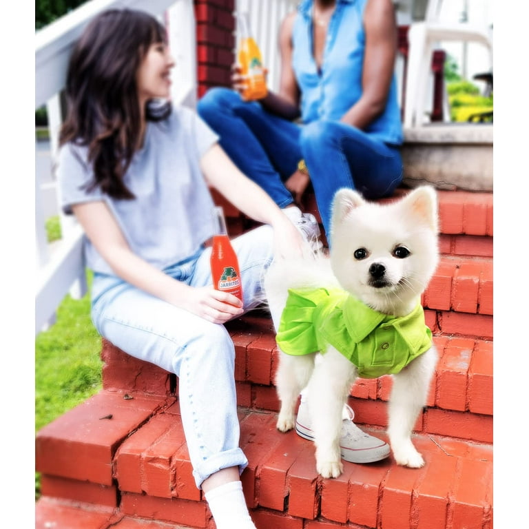 Puppy hotsell dress online