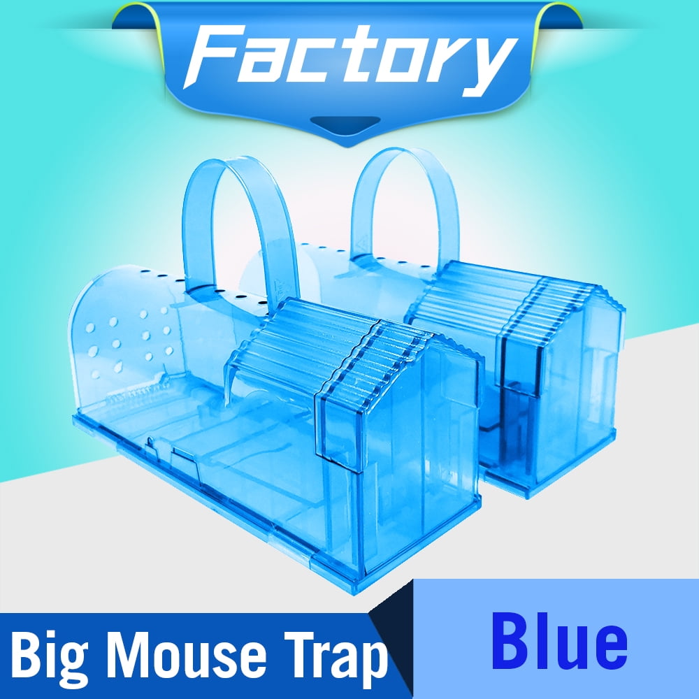 Humane Mouse Traps, Enlarged No Kill Rat Trap, Reusable Catch And Release Mice  Traps, Pet And Children Friendly Mouse Trap That Work - Temu