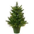 thumbnail image 1 of Árbol de Navidad Vickerman Pino Cachemira 24" Sin Iluminar 60 cm, 1 of 6