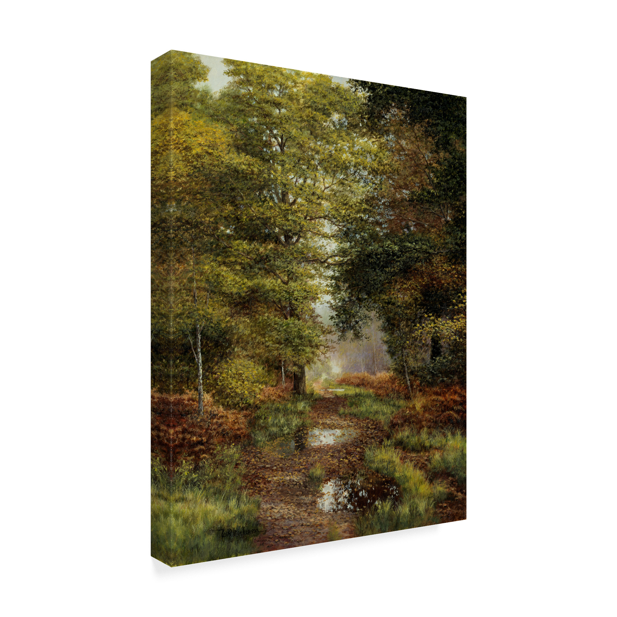 Trademark Fine Art 'Woodland In The Fall' Canvas Art by Bill Makinson