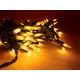 thumbnail image 5 of Luces navideñas 612 Vermont 100 de oro esmerilado, 6 m, UL, para interiores y exteriores, 5 of 7