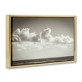 thumbnail image 4 of Stupell Industries Clouds over Venice Beach Landscape & Nature Photography Gold Floater Framed Canvas Art Print Wall Art, 31 x 21, 4 of 10