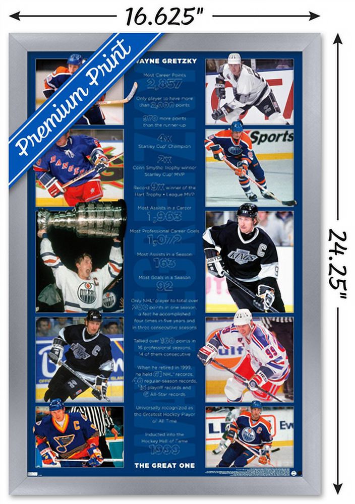 Wayne Gretzky - Stats Wall Poster, 14.725" x 22.375", Framed