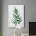 thumbnail image 5 of Sage Frond II Premium Gallery Wrapped Canvas - Ready to Hang - 12 x 18, 5 of 9