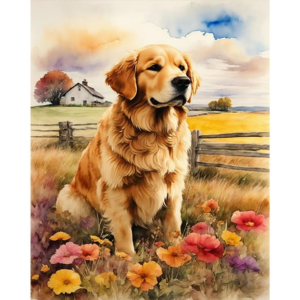 Kit Pintura Por Números Sobre Lienzo Arte Al Óleo Artesanal Imagen Golden Retriever 40x50cm