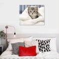 thumbnail image 4 of Nawypu AMERICAN SHORTHAIR KITTEN Animal Poster - Poster Print Art Canvas Prints Poster Wall Art For Home Office Decorations With Framed, 4 of 4