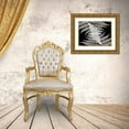 thumbnail image 3 of Christensen, Jim 14x12 Gold Ornate Wood Framed with Double Matting Museum Art Print Titled - Ferns II, 3 of 4