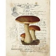 thumbnail image 2 of Mushroom II Poster Print by Gwendolyn Babbitt, 2 of 2