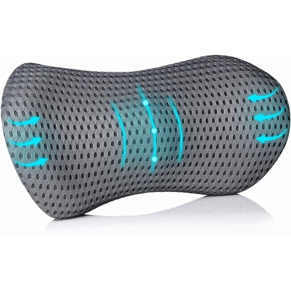 Lumbar Support Pillow, Memory Foam Neo Cushion Back Pillow for Lower Pain Relief, Ergonomic Car Seat, Office Chair, Bed and Recliner (Grey)