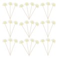 thumbnail image 1 of 30pcs Rattan Flower Sticks Natural Fragrance Diffuser Aroma Oil Diffuser Flower, 1 of 2