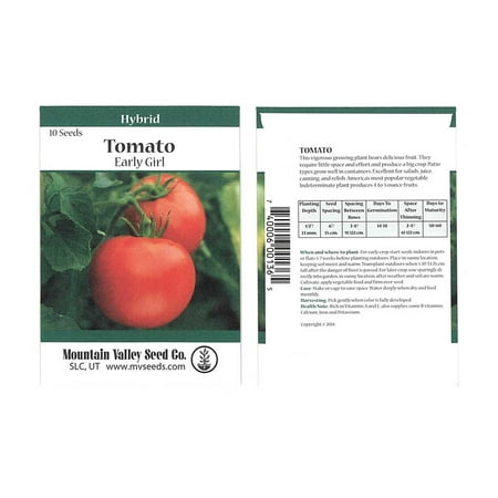 Tomato Garden Seeds - Early Girl Hybrid - 10 Seed Packet - Non-GMO, Vegetable Gardening (Best Way To Plant Tomato Seeds)