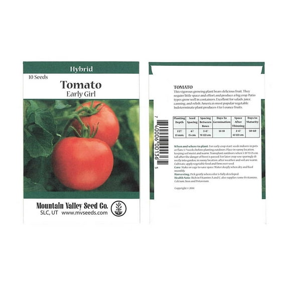 Tomato Garden Seeds - Early Girl Hybrid - 10 Seed Packet - Non-GMO, Vegetable Gardening Seed