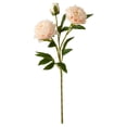thumbnail image 2 of Yhmxh Artificial Peony Flower Stems, 29.52in Long Stems Real Touch Silk Peonies, Realistic Peony Branches Arrangement Peony Flower for Christmas Home Vase Party Wedding Bouquet Decor, 2 of 6