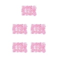 thumbnail image 3 of Kearding 12 piezas de flores secas, espécimen prensado teñido Natural en gran comodidad, suministros para álbumes de recortes para tipo 3 5piezas, 3 of 6
