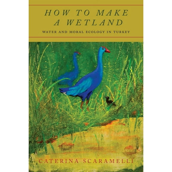 How to Make a Wetland: Water and Moral Ecology in Turkey (Hardcover)