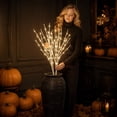 thumbnail image 4 of 80cm Lighted Birch Branches with 50 LED and Timer Function 2 Piece Artificial Twig Lights for Indoor Seasonal Decoration, 4 of 7