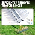 thumbnail image 3 of Thatch Rake for Lawn with 74inch Handle, 15 inch Dethatcher Rake for Grass to Cleaning Dead Grass, Efficient Steel Metal Rake for Dethatching, Heavy Duty Thatching Rakes for Garden, Yard, 3 of 8