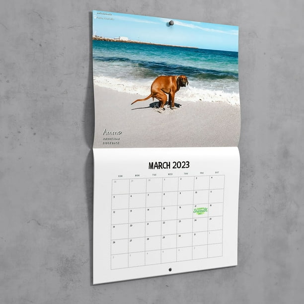 Calendrier 2024 amusant des chats caca, Planificateur mensuel mural du  calendrier des chats caca
