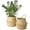 Medium, variant on NOGIS 2 Pack Woven Plant Basket - Wicker Belly Basket Planter Indoor with Plastic Liner and Handles, Natural Plant Pot for Fiddle Leaf Fig Tree, Snake Plant (Small, Natural- Beige)