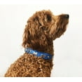 thumbnail image 2 of Os ROTTERDAM en Cuir pour Collier de Chien à une Rangée d'Os, 2 of 4