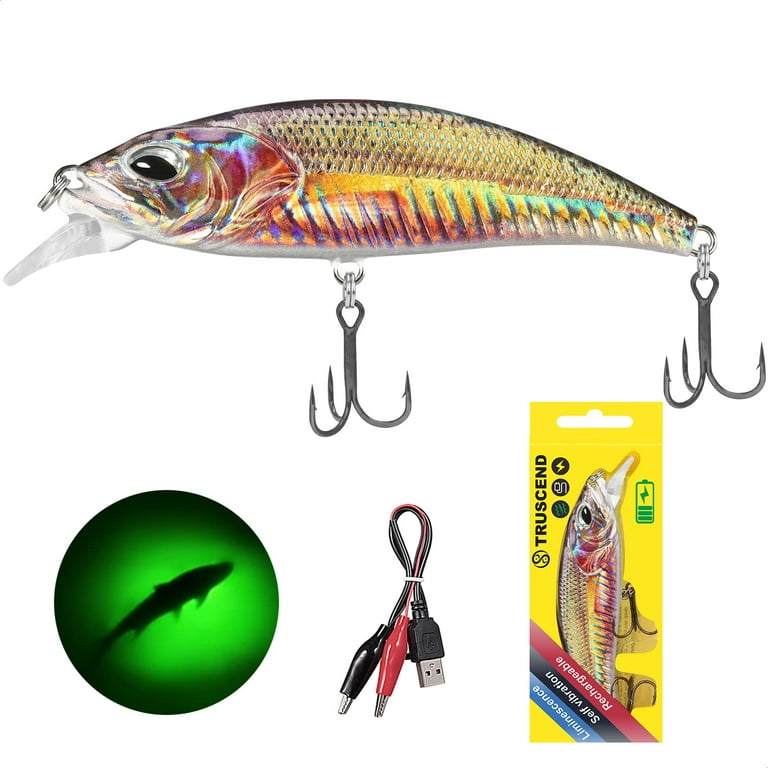 Buy watalure Luminous Vibrating Jerkbait LED Minnow Fishing Lures for Bass  Trout Freshwater Saltwater Electric Lures USB Rechargeable Wobbler (Orange  Jerkbait) Online at Lowest Price Ever in India