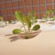 thumbnail image 5 of 50 macetas de malla hidropónica sin sueloclon de viverocesta de red para plantar (40) Likrtyny Para estrenar, 5 of 9