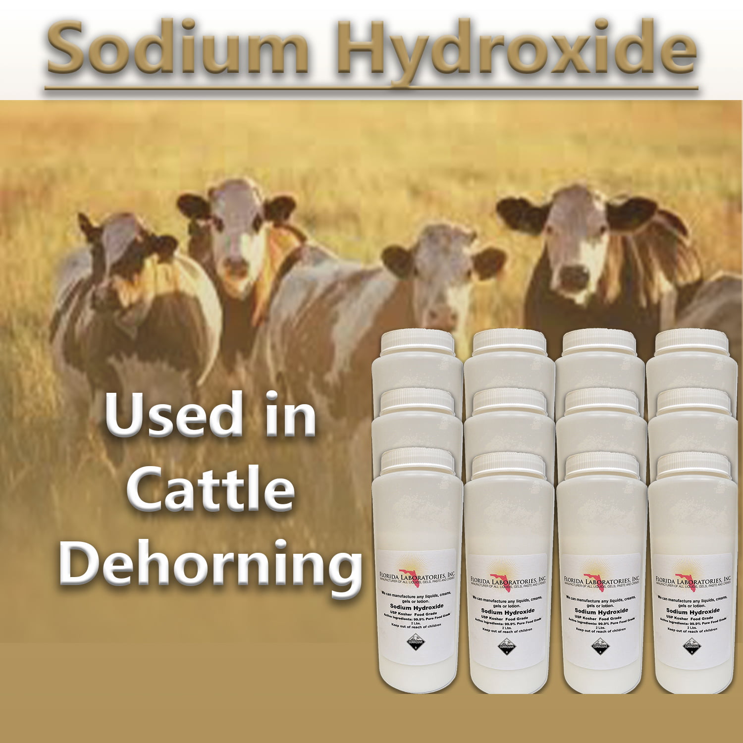 Sodium Hydroxide Lye Micro Beads - Food Grade - USP - 8 lbs - 4 x
