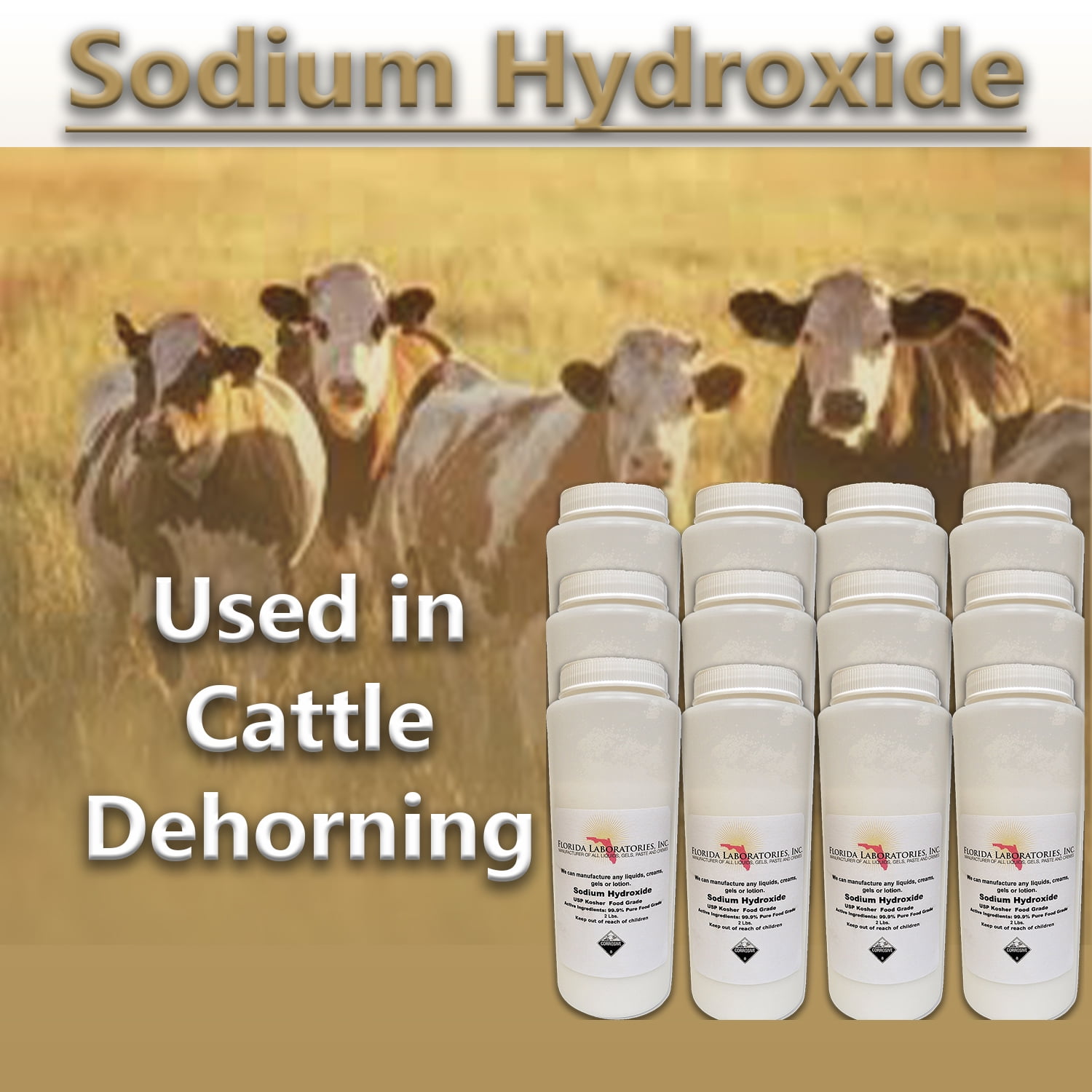 Sodium Hydroxide 99.9% Pure Food Grade Beads Caustic Soda lye 24 Lbs (Pounds)