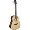 James Neligan ELI-DCE Elijah Series Dreadnought Cutaway Acoustic-Electric Guitar