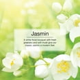 thumbnail image 3 of Little Trees Air Freshener Jasmin Fragrance 24-Pack, 3 of 8