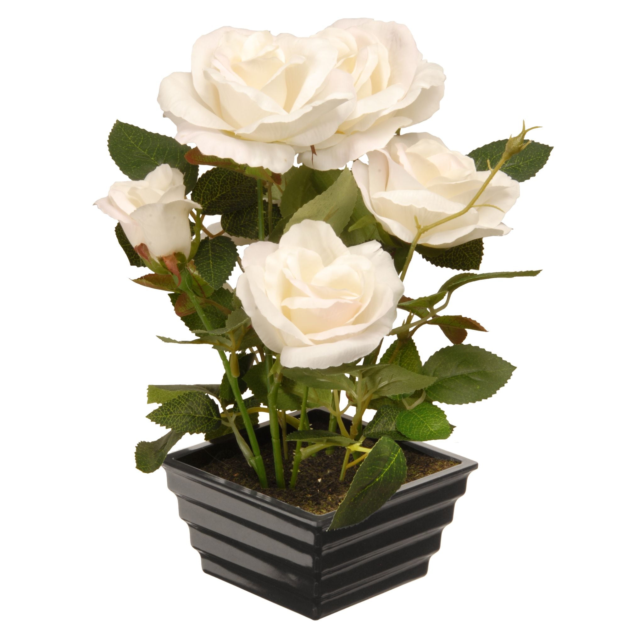 11" Black Potted Artificial White Rose Flowers