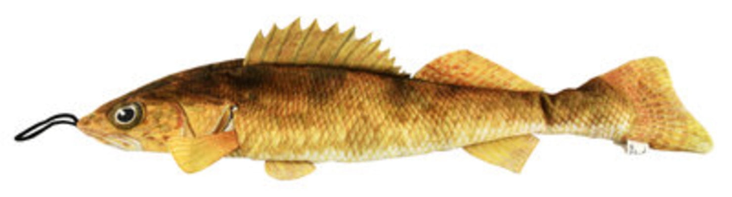 freshwater fish toys